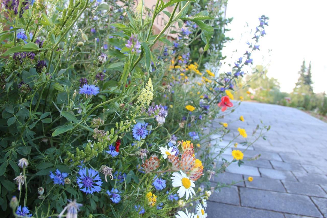 Ferienwohnungen "Blumenwiese" Dillingen an der Donau Luaran gambar