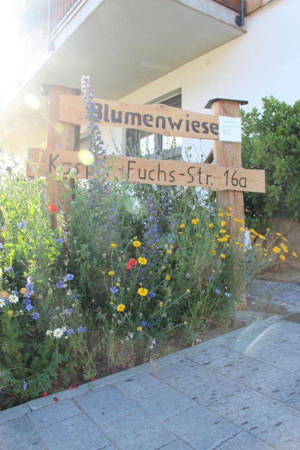 Ferienwohnungen "Blumenwiese" Dillingen an der Donau Luaran gambar